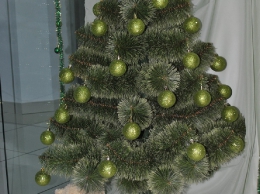 Новый 2015 Год!_26